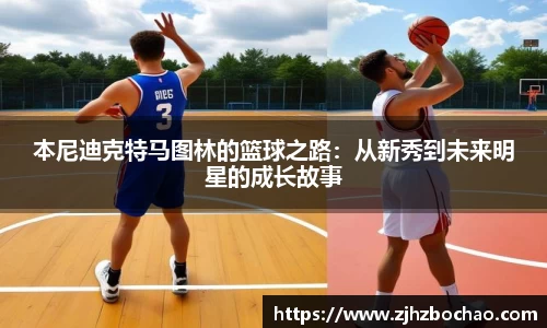3377体育官网