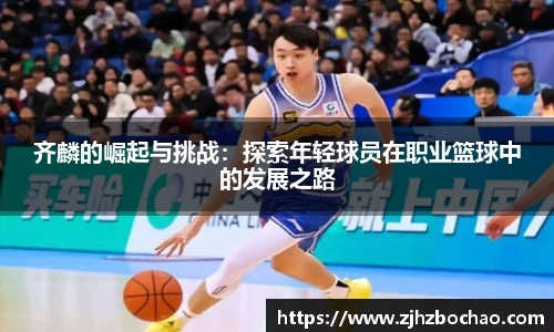 3377体育官网