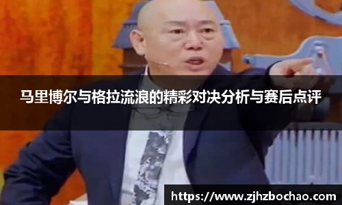 3377体育官网